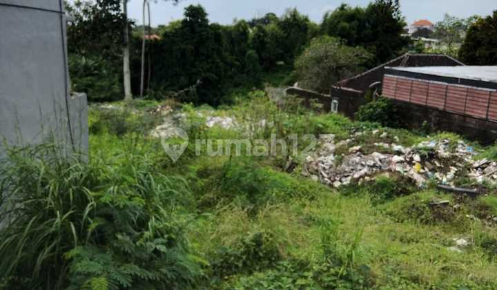 Dijual Cepat Tanah Premium Murah di Canggu Dijual Cepat Tanah Premium Murah di Canggu