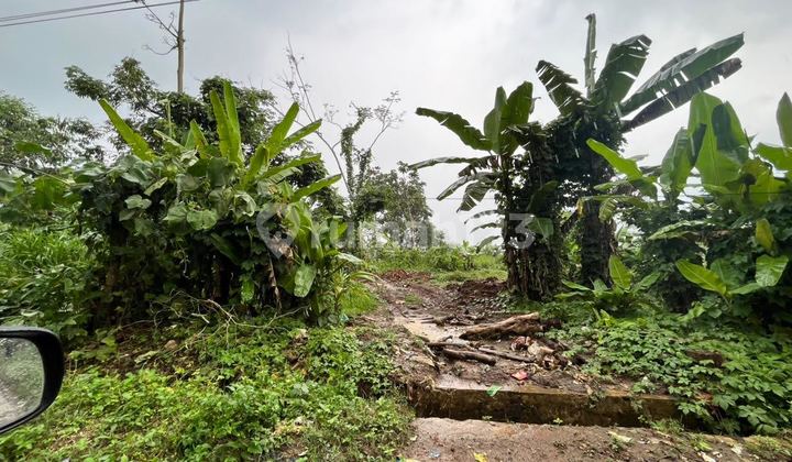 For Sale: 3 Hectares of Land in Rahong, Lebak Regency, Banten For Sale: 3 Hectares of Land in Rahong, Lebak Regency, Banten