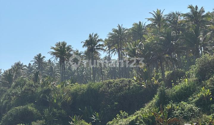 Dijual Pantai Keluarga dekat Wisata Pantai Karangpotong, Cianjur