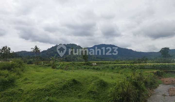 Strategic Land for Sale at Puncak Cipanas, Cianjur Strategic Land for Sale at Puncak Cipanas, Cianjur