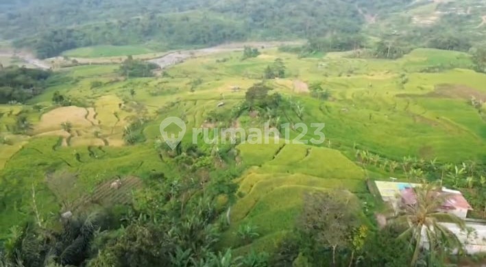 Dijual Tanah 30 Hektar Strategis di Puncak 2, Kab. Bogor Dijual Tanah 30 Hektar Strategis di Puncak 2, Kab. Bogor