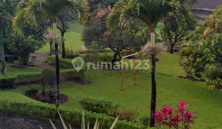 For sale: Strategic and Scenic Land with Swimming Pool in Puncak - Cipanas For sale: Strategic and Scenic Land with Swimming Pool in Puncak - Cipanas