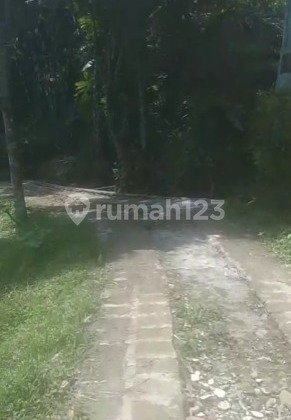 Dijual Tanah Include Rumah banyak mata air di Cigombong Bogor Dijual Tanah Include Rumah banyak mata air di Cigombong Bogor