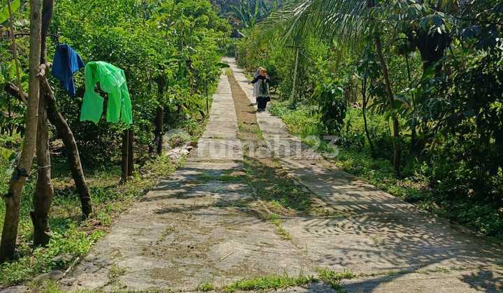 For Sale: Plantation Land with 1 Villa Unit in Jasinga