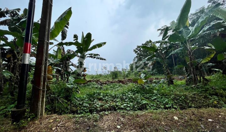 For Sale: 3 Hectares of Land in Rahong, Lebak Regency, Banten For Sale: 3 Hectares of Land in Rahong, Lebak Regency, Banten