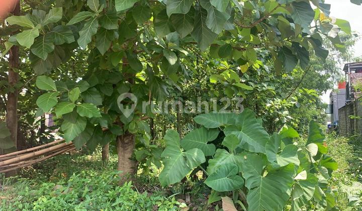 Dijual Tanah Cocok Peruntukan Rumah di Cibinong, Bogor