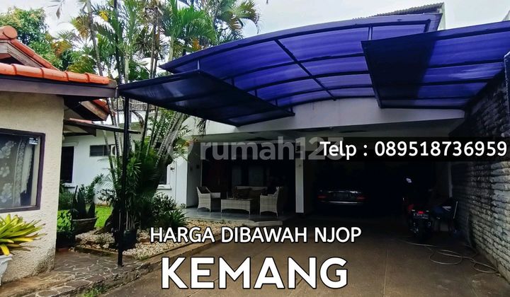 Kemang - Rumah Lama Harga Dibawah Njop Dengan Private Swimming Pool Di Kemang Jakarta Selatan