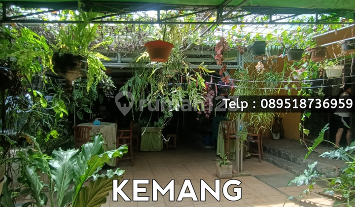 Kemang - Old House Land Calculation Near Kemang Raya Road Jakarta