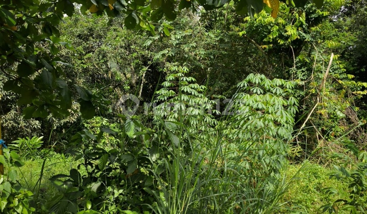 Jual Tanah Di Pinggir Jalan Besar Samarinda Jual Tanah Di Pinggir Jalan Besar Samarinda