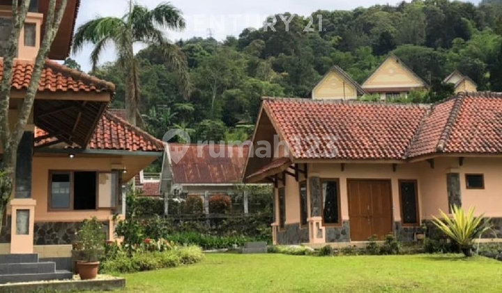 Beautiful View Villa of Mount Pangrango & Tea Plantation in Ciloto Puncak 2