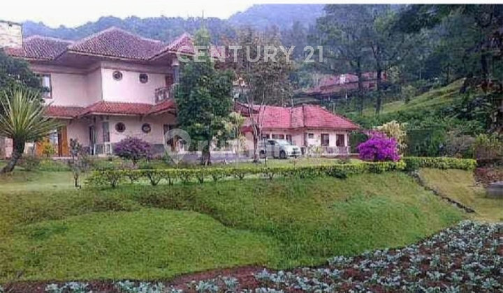 Villa Cantik View Gunung Pangrango & Kebun Teh Di Ciloto Puncak 