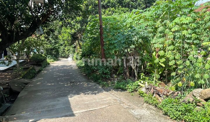 Tanah Murah Di Bojong Gede Cocok Untuk Cluster Dan Investasir