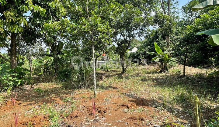 Tanah Murah Di Bojong Gede Cocok Untuk Cluster Dan Investasir Tanah Murah Di Bojong Gede Cocok Untuk Cluster Dan Investasir