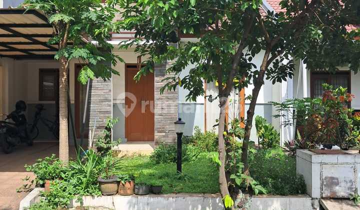 Rumah Bagus Siap Huni Lokasi Strategis Di Cikeunyi Rumah Bagus Siap Huni Lokasi Strategis Di Cikeunyi