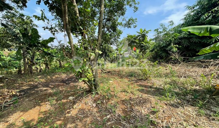 Tanah Strategis Di Bojong Gede Untuk Cluster Atau Investasi Tanah Strategis Di Bojong Gede Untuk Cluster Atau Investasi