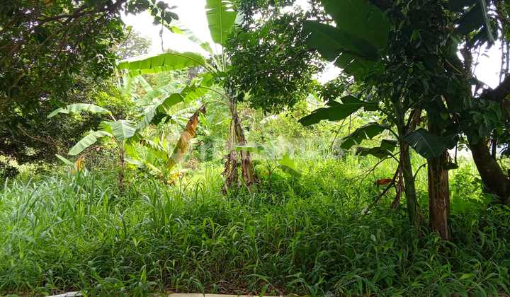 Tanah Strategis Di Bojong Gede Untuk Investasi Atau Hunian