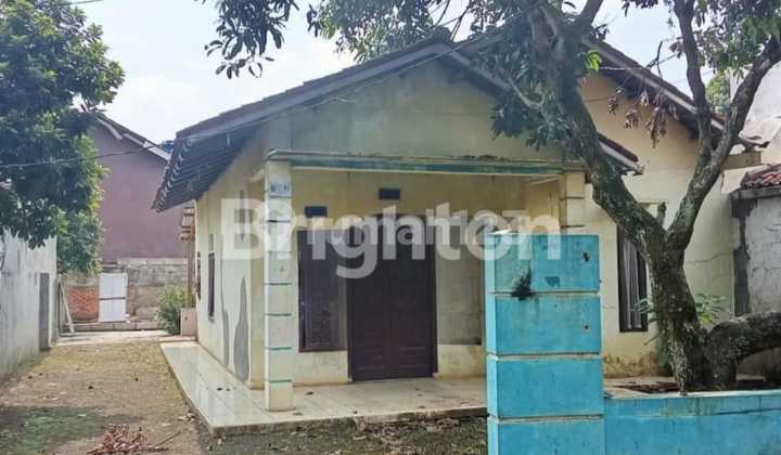 Rumah Lama Tanah Luas Lokasi Strategis Cocok Untuk Hunian Dan Investasi Rumah Lama Tanah Luas Lokasi Strategis Cocok Untuk Hunian Dan Investasi