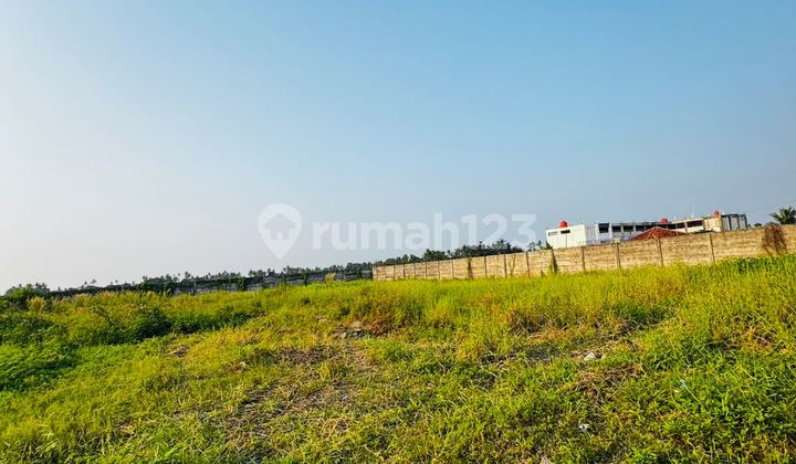 For Sale Land / Plot Beside Rajeg Tangerang Road Cheap 2000m2 Toll Access 20 minutes For Sale Land / Plot Beside Rajeg Tangerang Road Cheap 2000m2 Toll Access 20 minutes