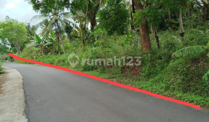 Tanah Luas Siap Bangun di Kulon Progo - View Terbaik, Akses Mobil, Cocok untuk Wisata/Resort