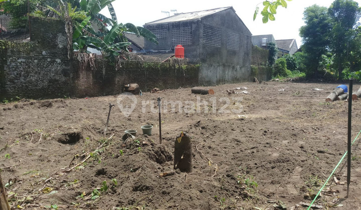 Tanah 3 KM ke kampus UGM Di Jalan Sulawesi Sleman. Tanah 3 KM ke kampus UGM Di Jalan Sulawesi Sleman.