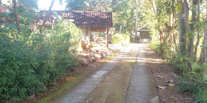 Tanah Murah Bu di Gunung Kidul, Daerah Istimewa Yogyakarta
