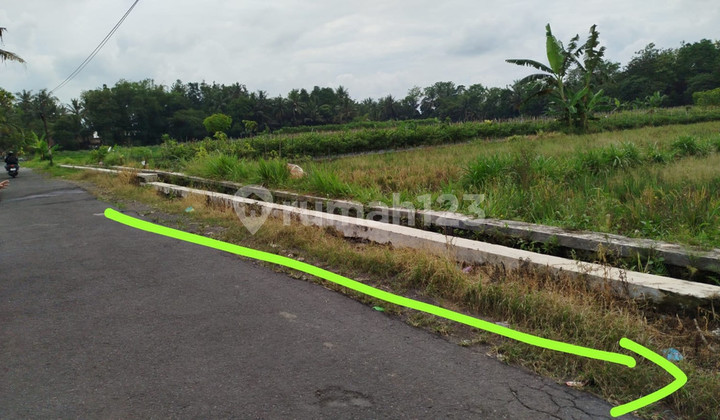 Tanah Sawah 2732 Meter Persegi di Kawasan Strategis Sleman Tanah Sawah 2732 Meter Persegi di Kawasan Strategis Sleman