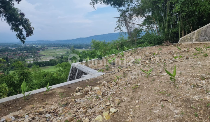 Land 1824 Meters in the Bukit Bintang Piyungan Bantul Area