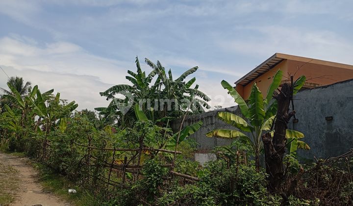 For Sale: Cheap & Strategic Land on Jl. Bypass Rangkasbitung For Sale: Cheap & Strategic Land on Jl. Bypass Rangkasbitung