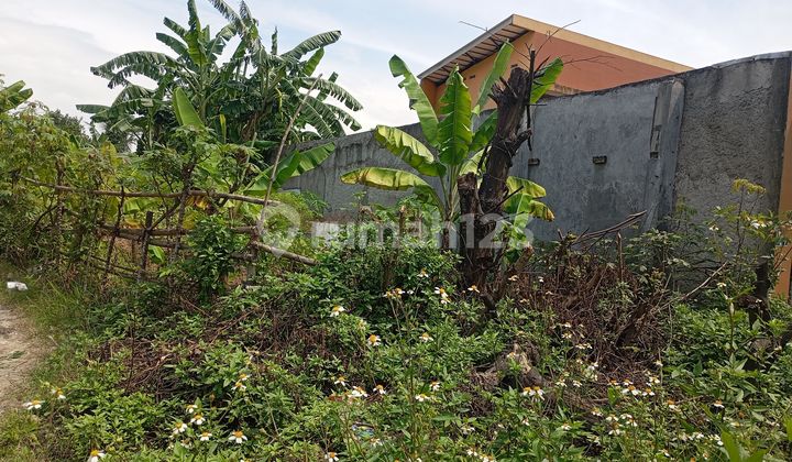 For Sale: Cheap & Strategic Land on Jl. Bypass Rangkasbitung For Sale: Cheap & Strategic Land on Jl. Bypass Rangkasbitung