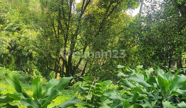 Hambalang Citeurup Land Hambalang Citeurup Land