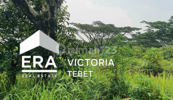 Tanah Di Rainbow Hills Bogor - Di Bawah Njop