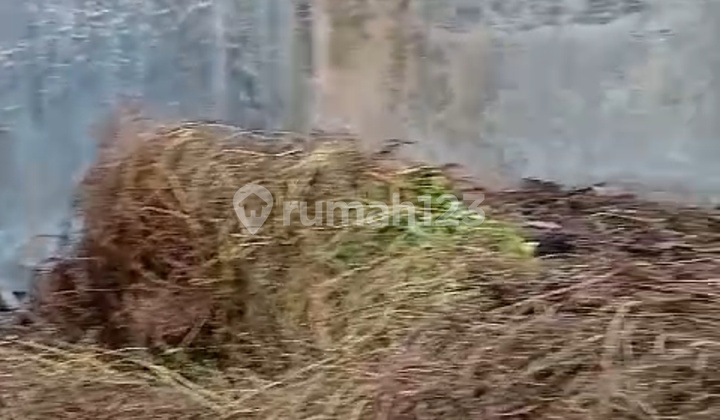 Jual Tanah Bonus Bangunan Daerah Perumahan Juanda Dekat Bandara 