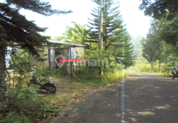 Tanah Luas di Lelang Murah di Kawasan Premium Cinere Depok Tanah Luas di Lelang Murah di Kawasan Premium Cinere Depok