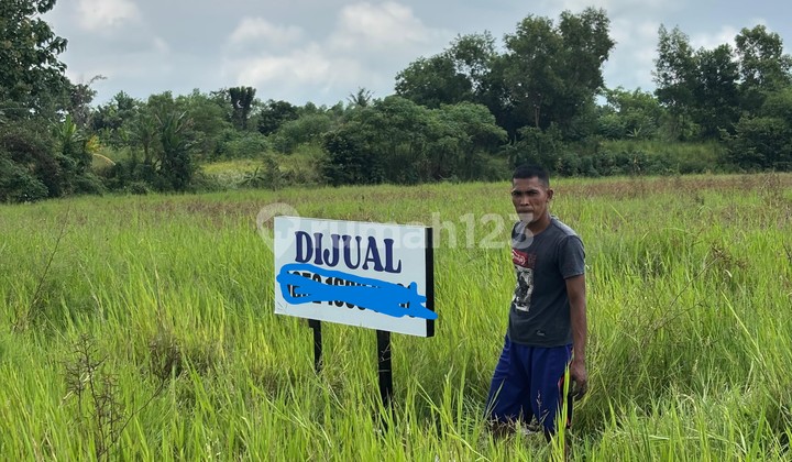Tanah Matang Strategis di Kota Serang Tanah Matang Strategis di Kota Serang