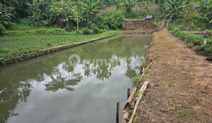 Tanah Murah Ciparang Cipatat Bandung Barat Tanah Murah Ciparang Cipatat Bandung Barat