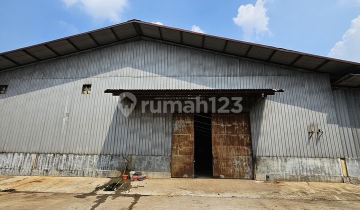 Spacious Multi-Purpose Warehouse in Industrial Zone Spacious Multi-Purpose Warehouse in Industrial Zone