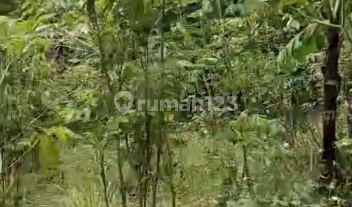 Dijual Tanah 465 Rb Per Mtr Ujung Berung Dijual Tanah 465 Rb Per Mtr Ujung Berung