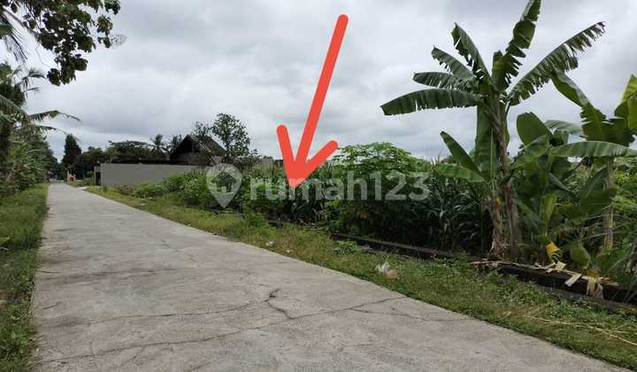 Tanah Murah Maguwoharjo: 3 JUTAAN, Cocok Perumahan