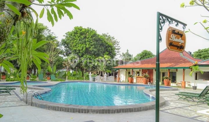 The Sultan's Assets in the Heart of Jogja: 1,6 Hectares of Land Plus a Running Hotel The Sultan's Assets in the Heart of Jogja: 1,6 Hectares of Land Plus a Running Hotel