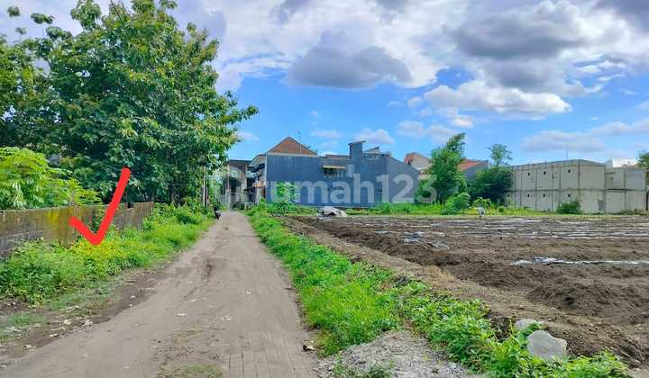 Banting Harga, Tanah 50m Kampus UII Jogja: 5,5 Jt Jadi 4,2 Jt Net Banting Harga, Tanah 50m Kampus UII Jogja: 5,5 Jt Jadi 4,2 Jt Net