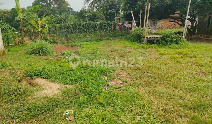 Tanah Kosong SHM di Bogor Barat, Strategis untuk Usaha atau Buat Hunian Tanah Kosong SHM di Bogor Barat, Strategis untuk Usaha atau Buat Hunian