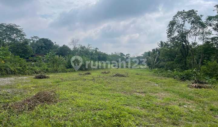 Tanah SHM Strategis Kaliurang Pakem Dekat Kopi Klotok Tanah SHM Strategis Kaliurang Pakem Dekat Kopi Klotok