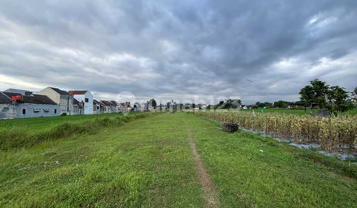 Strategic SHM Land in Sidoarum Sleman Near Campus & Al Azhar Strategic SHM Land in Sidoarum Sleman Near Campus & Al Azhar