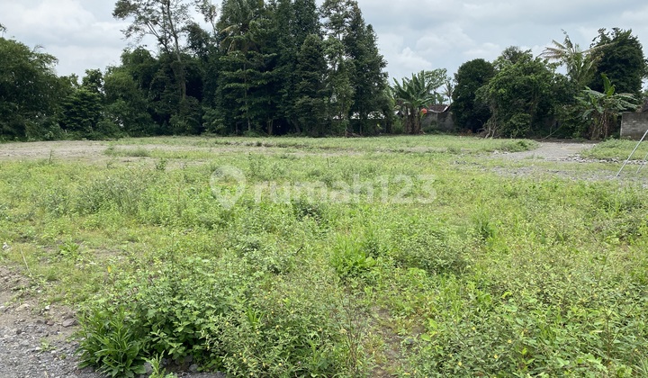 Tanah SHM Siap Bangun Strategis Dekat Stadion Maguwoharjo 