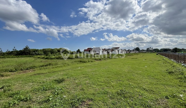 SHM Land, Cool and Suitable for Houses or Student Boarding SHM Land, Cool and Suitable for Houses or Student Boarding