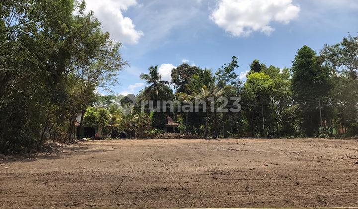 For Sale Freehold Land in Sleman, Ready for Deed Transfer, Near Jangkang Market