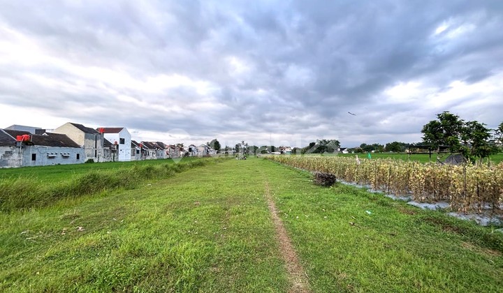 Tanah SHM Strategis Dekat Al Azhar & Area Kampus Barat Tanah SHM Strategis Dekat Al Azhar & Area Kampus Barat