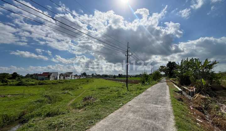 Tanah SHM Pinggir Jalan Lingkungan Belakang Al Azhar