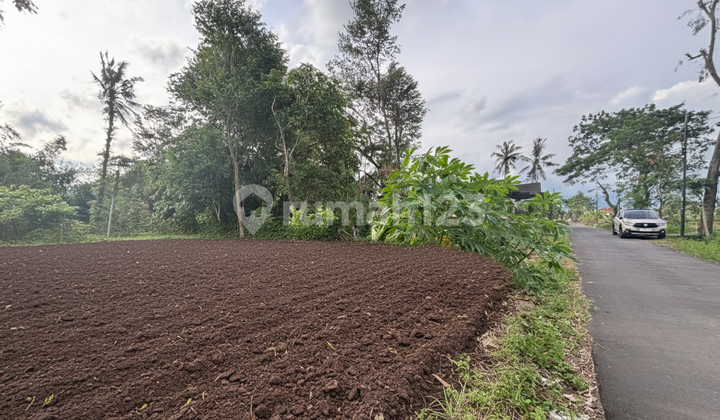 Strategic SHM Land by the Main Road in Selomartani Strategic SHM Land by the Main Road in Selomartani