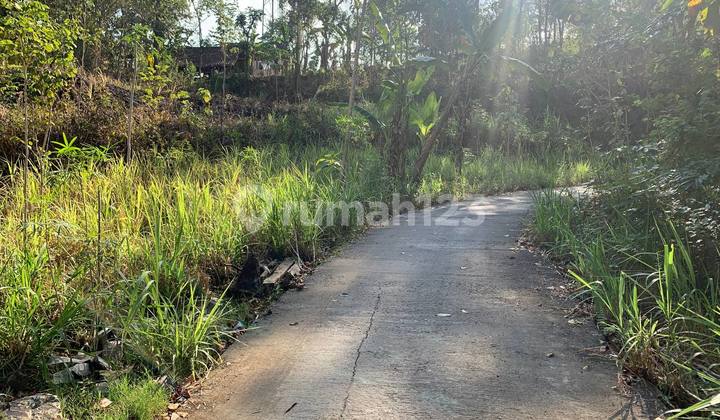 Tanah SHM Investasi Bernilai Tinggi di Kawasan Wisata Pleret